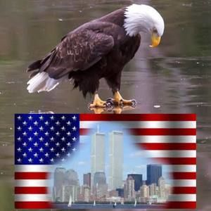 Meet your Posher, Traci